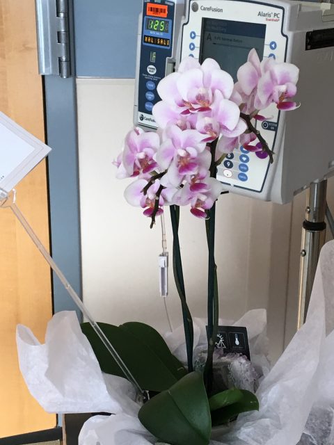 Flowers in the hospital room